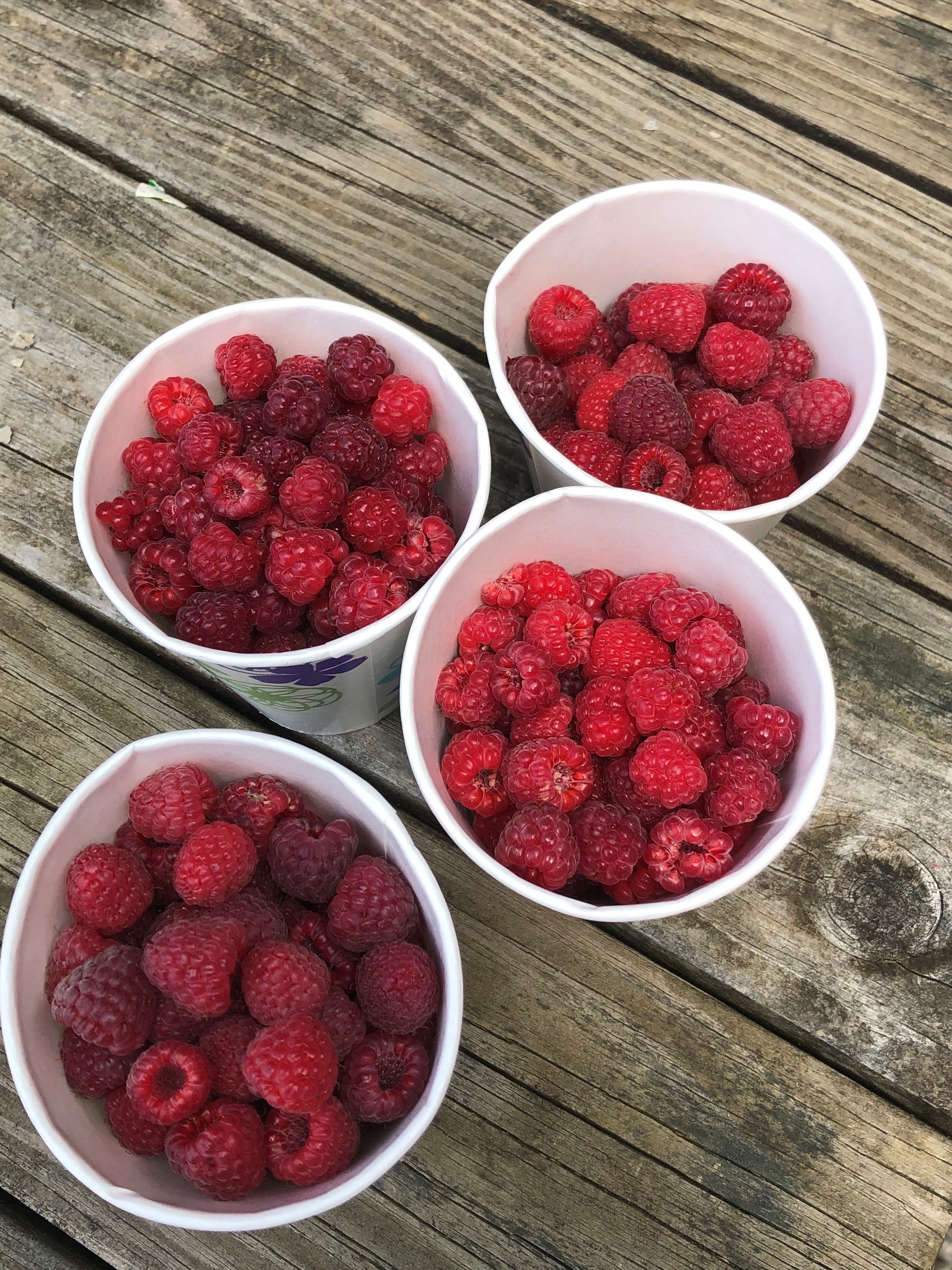 The First berries
